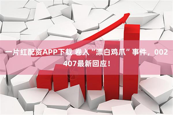一片红配资APP下载 卷入“漂白鸡爪”事件，002407最新回应！