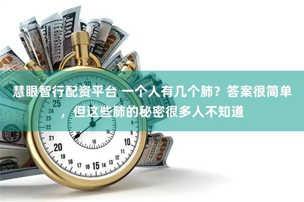 慧眼智行配资平台 一个人有几个肺？答案很简单，但这些肺的秘密很多人不知道